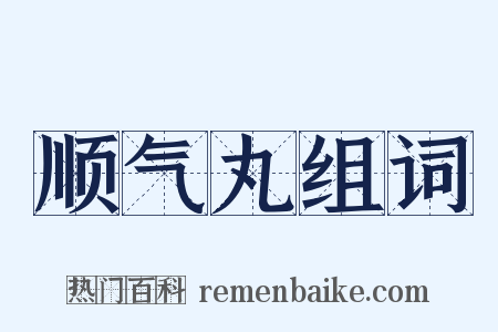 顺气丸组词是什么意思的图片